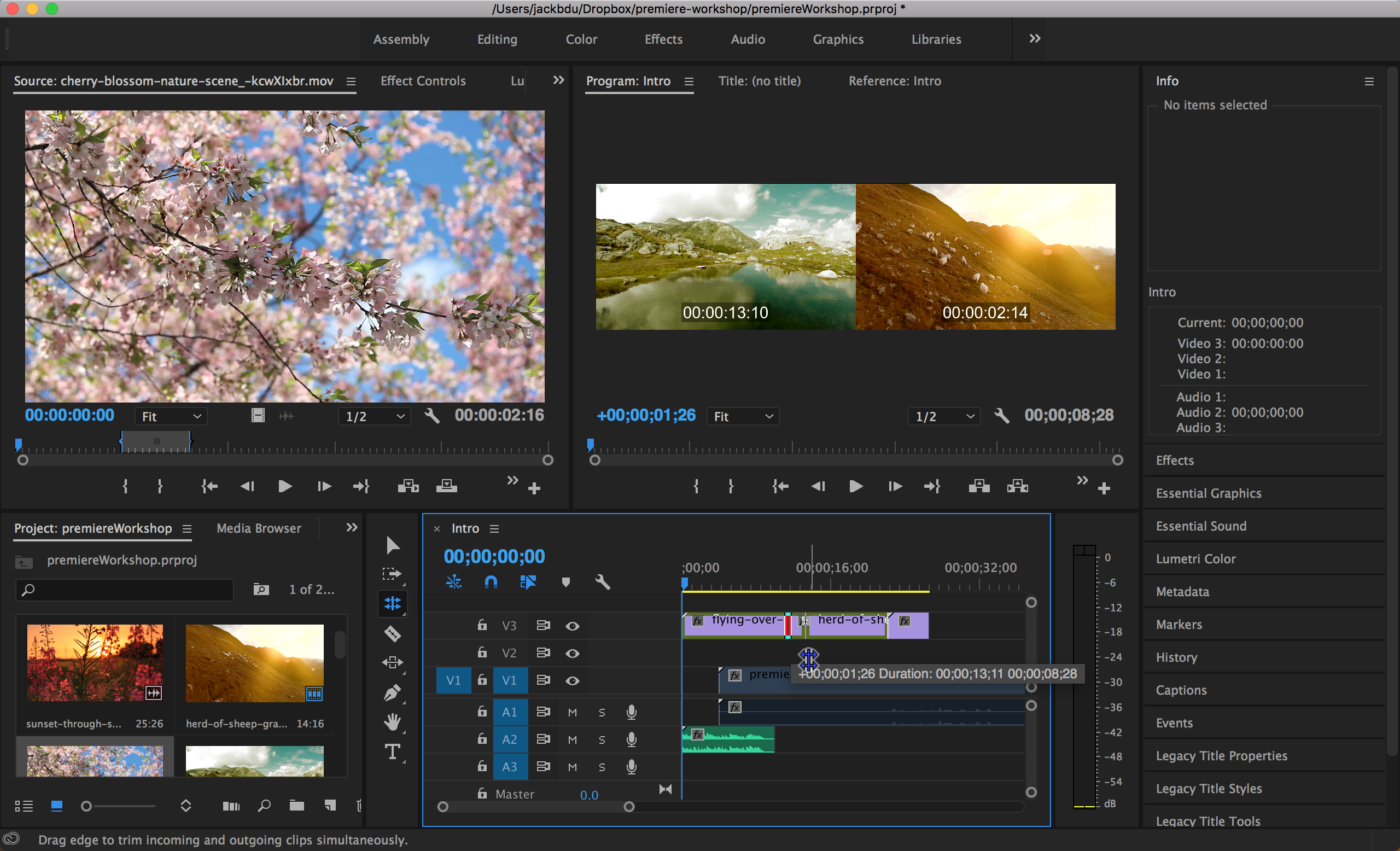Rolling Edit Tool Demo