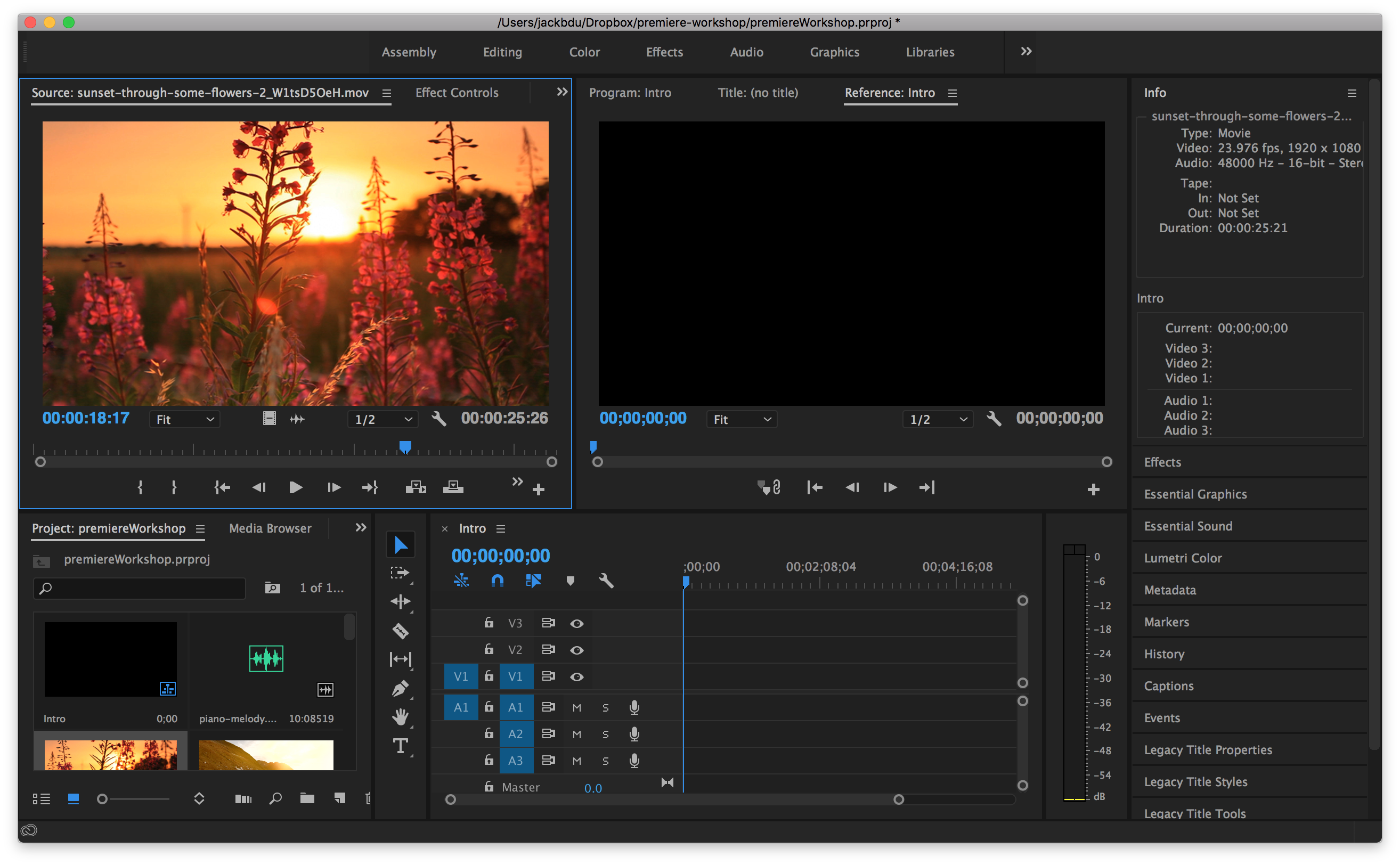 Workspace after Import