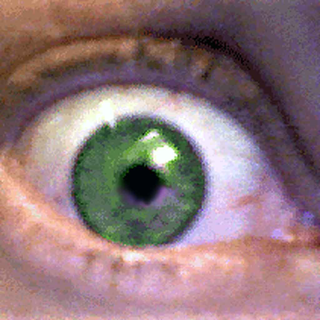 Clay Shirky's Twitter profile picture